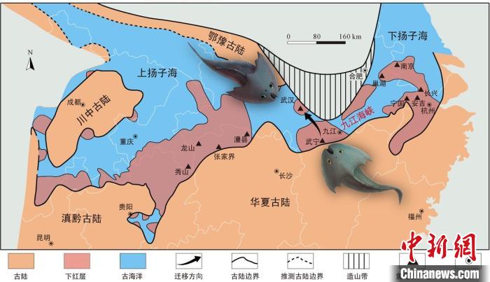 華南地區(qū)志留紀早期古地理圖和盔甲魚類化石產(chǎn)地(山顯任改自陳旭、戎嘉余，1996；戎嘉余等，2012) 中科院古脊椎所 供圖