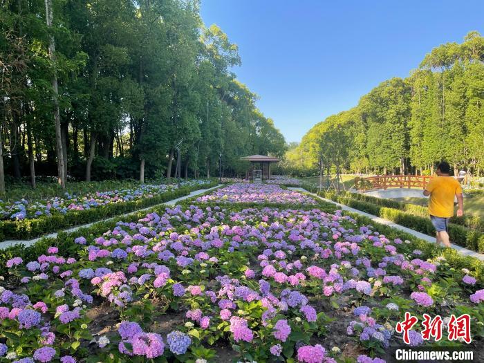 納民意、匯民智上海努力讓“公園城市”建設(shè)真正“合民心”