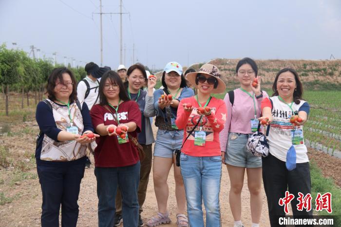 圖為臺(tái)胞體驗(yàn)大美內(nèi)蒙古?！⊥袐I供圖