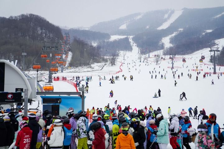 從半年冰天雪地奔向全年“金山銀山”——東北雪季收官的思考