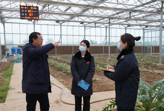 稅務干部走進常德市西洞庭管理區(qū)的朝鮮薊種植基地，宣傳稅費優(yōu)惠政策，助力農(nóng)企搶農(nóng)時、抓春耕、穩(wěn)增長。吳家豪攝