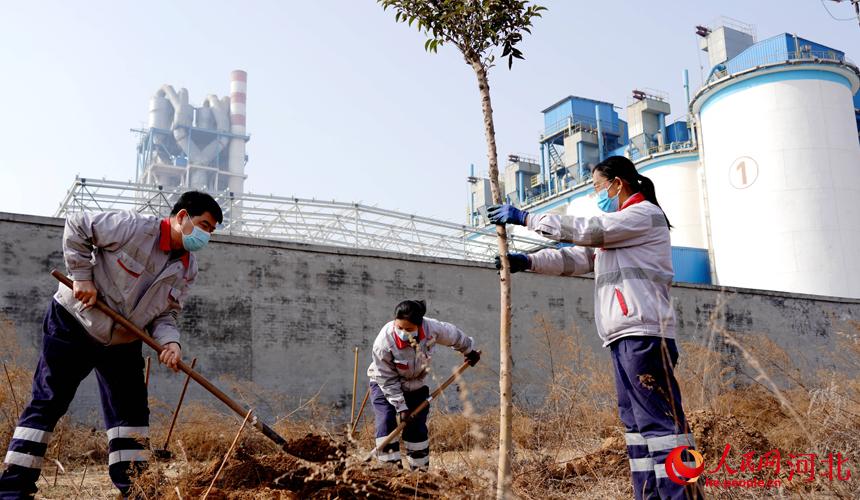 邢臺金隅職工在石邢公路沿線植樹。 宋繼昌攝