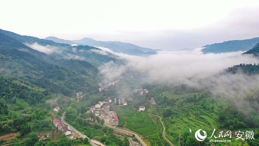 雨后的金寨大灣村，云霧環(huán)繞，宛如一幅田園山水畫卷。人民網(wǎng) 張俊攝