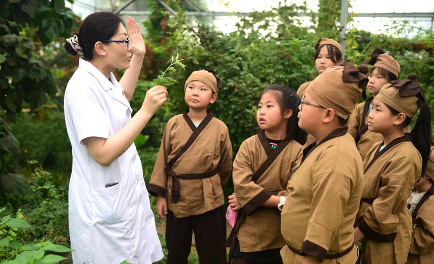 參加活動的孩子聆聽滄州市人民醫(yī)院國醫(yī)館中醫(yī)對中藥材的講解。 傅新春攝