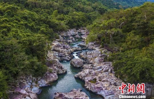 2018年海南生態(tài)環(huán)境狀況等級(jí)為“優(yōu)”，植被覆蓋率高，生物多樣性豐富，生態(tài)系統(tǒng)穩(wěn)定，圖為海南中部熱帶雨林?！●樤骑w　攝