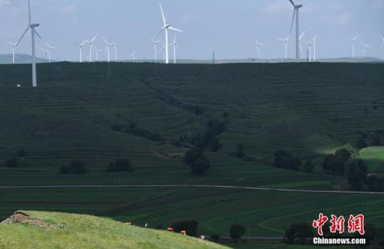 6月28日，河北張家口張北草原上大片風力發(fā)電的“風車”規(guī)模宏大。 中新社記者 楊艷敏 攝