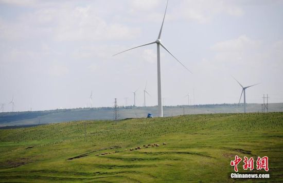 6月28日，河北張家口張北草原上大片風力發(fā)電的“風車”規(guī)模宏大。 中新社記者 楊艷敏 攝