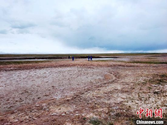 圖為救援力量在青海省西部搜救失聯(lián)的江蘇南京某大學(xué)女生黃某某。海西州藍(lán)天應(yīng)急救援中心 供圖