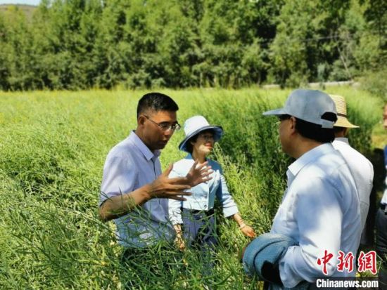 圖為九三學(xué)社青海省委主委杜德志(左一)在基層調(diào)研。受訪者供圖