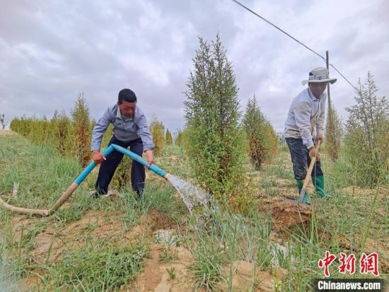 圖為扎西和村民給樹(shù)澆水。　祁增蓓　攝