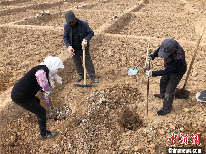 資料圖為建行青海省分行綠化區(qū)施工隊(duì)隊(duì)員處理亂石。　建行青海省分行供圖