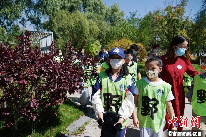 圖為小朋友在青海西寧湟水國家濕地公園內(nèi)認(rèn)識植物。　馬銘言 攝