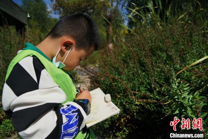 圖為小朋友在青海西寧湟水國家濕地公園內(nèi)認(rèn)識植物并進(jìn)行繪畫?！●R銘言 攝