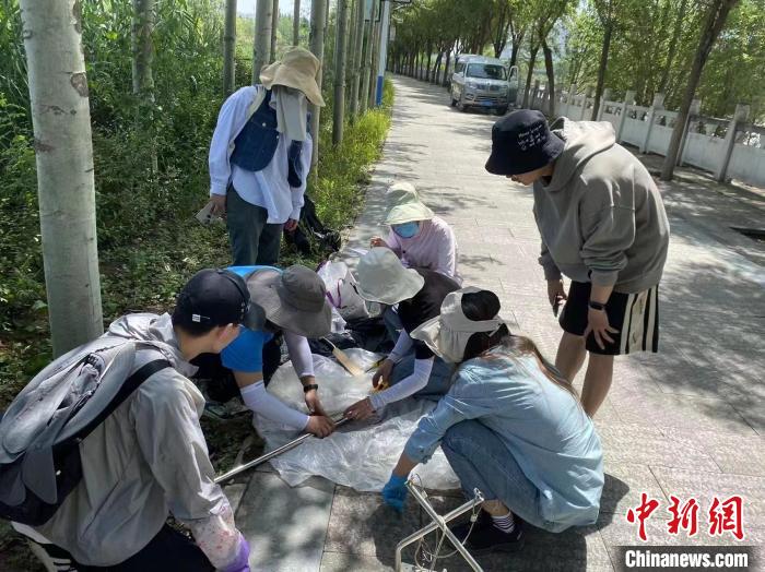 圖為科研人員正在進行監(jiān)測。　西寧湟水國家濕地公園供圖