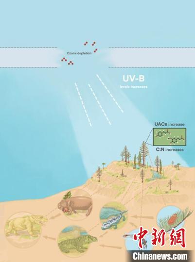 臭氧層破壞引起的紫外線輻射增加對陸地食物鏈的影響?！∧瞎潘?供圖