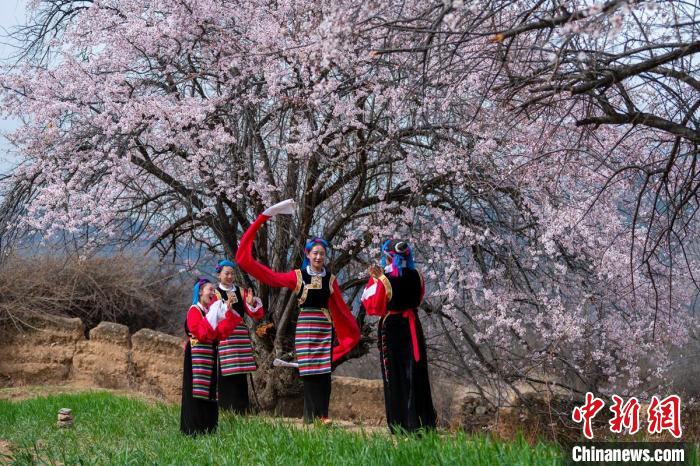 桃花樹(shù)下開(kāi)心玩耍的女孩們。　劉忠俊 攝