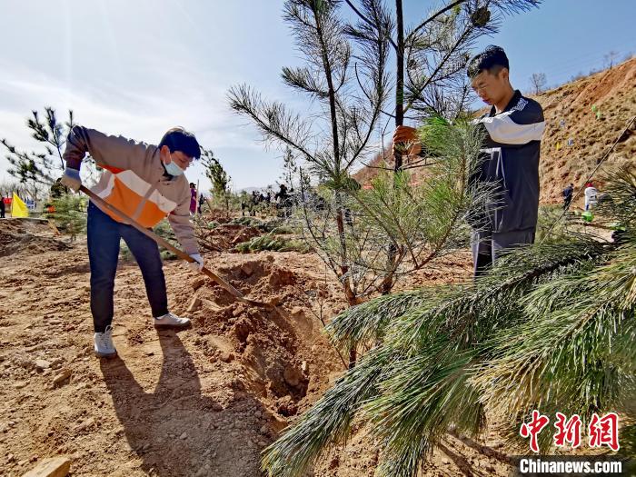 圖為西寧市城東區(qū)義務(wù)植樹活動現(xiàn)場?！?zhí)砀?攝