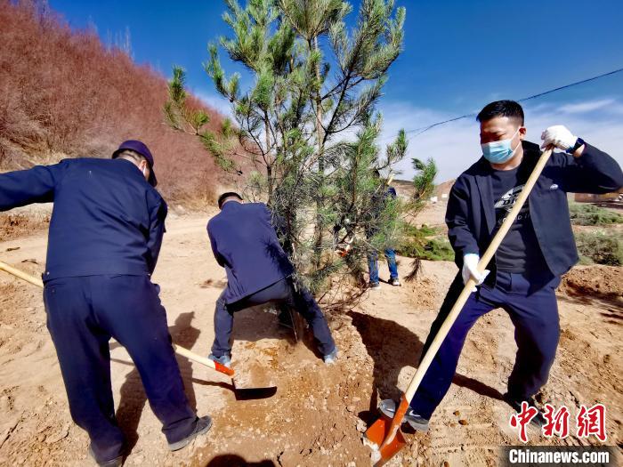 圖為西寧市城東區(qū)義務(wù)植樹活動現(xiàn)場?！?zhí)砀?攝