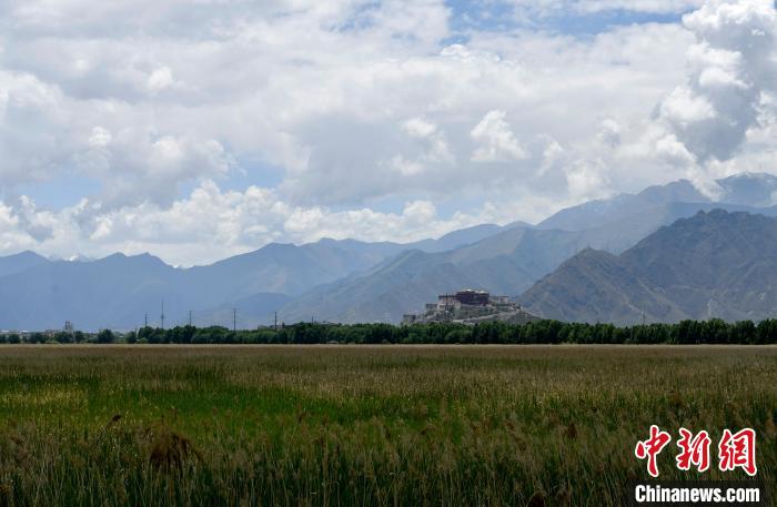 圖為拉薩拉魯濕地。　李林 攝