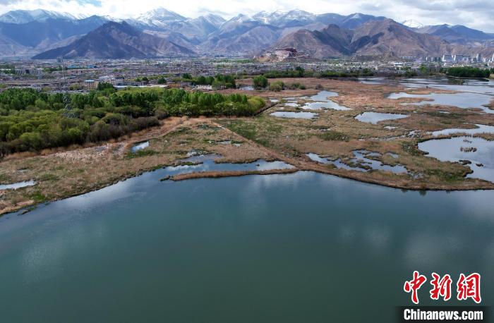 圖為拉薩拉魯濕地。(無人機(jī)照片) 李林 攝