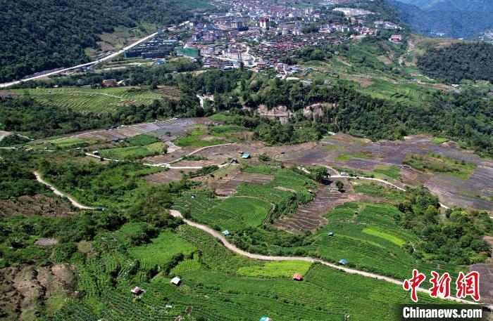 圖為西藏林芝市墨脫縣城附近的茶田。(無人機(jī)照片) 李林 攝