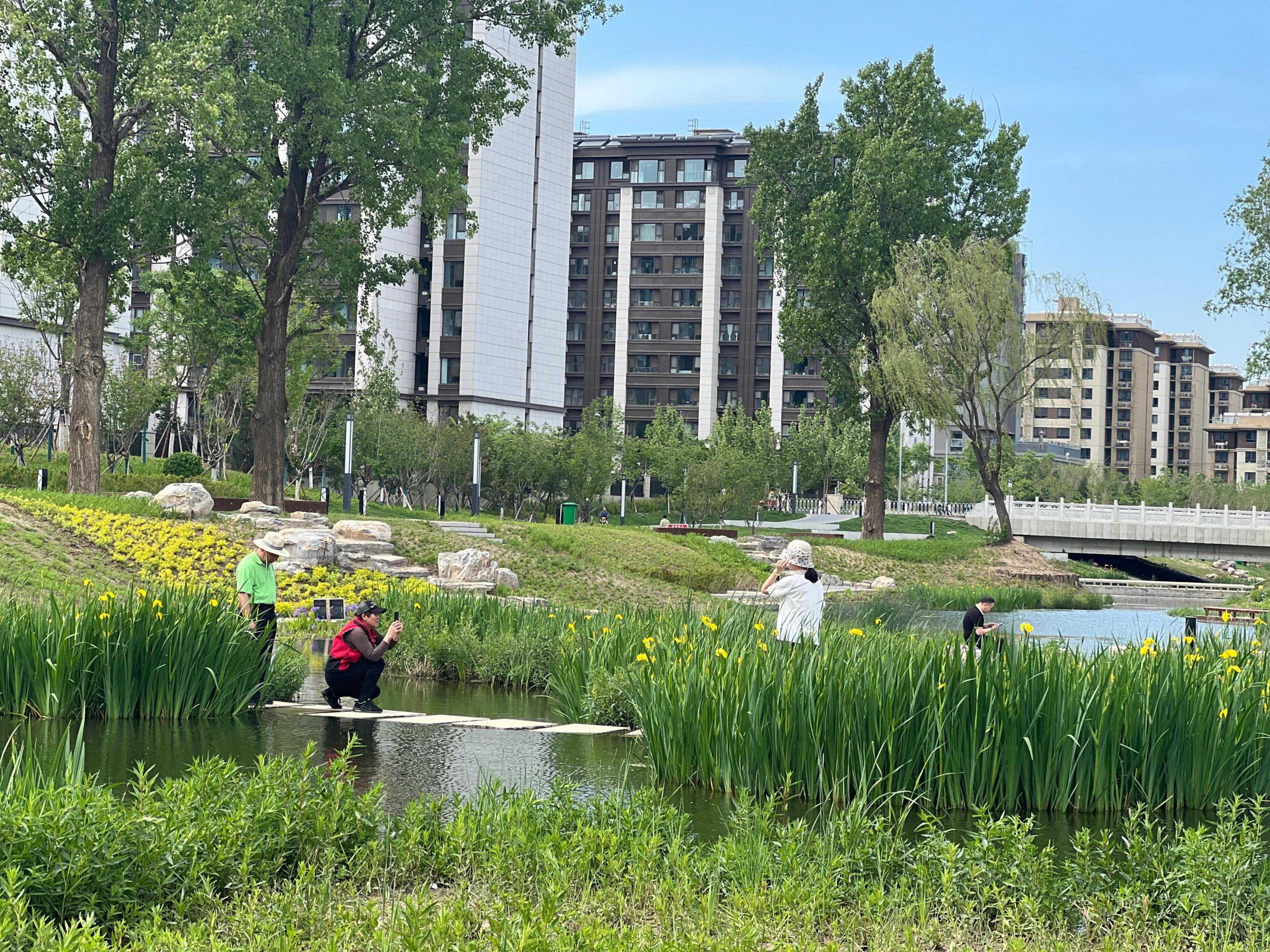 五一渠生態(tài)濱河公園內(nèi)，市民正在拍照留念。人民網(wǎng) 歐陽易佳攝