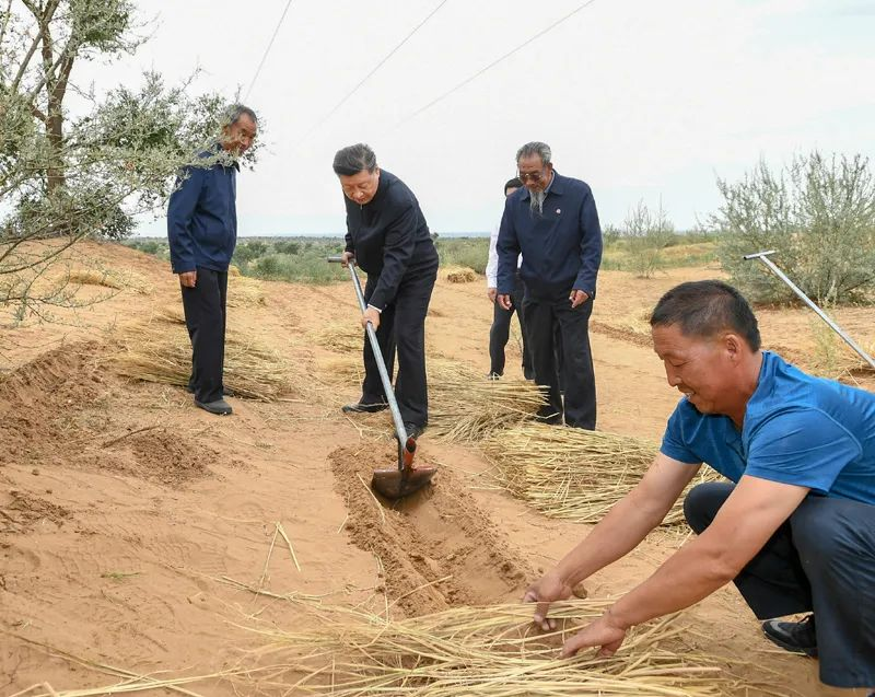 2019年8月21日，習(xí)近平來到甘肅省武威市古浪縣八步沙林場，實地察看當(dāng)?shù)刂紊吃炝?、生態(tài)保護(hù)等情況。新華社記者 謝環(huán)馳 攝