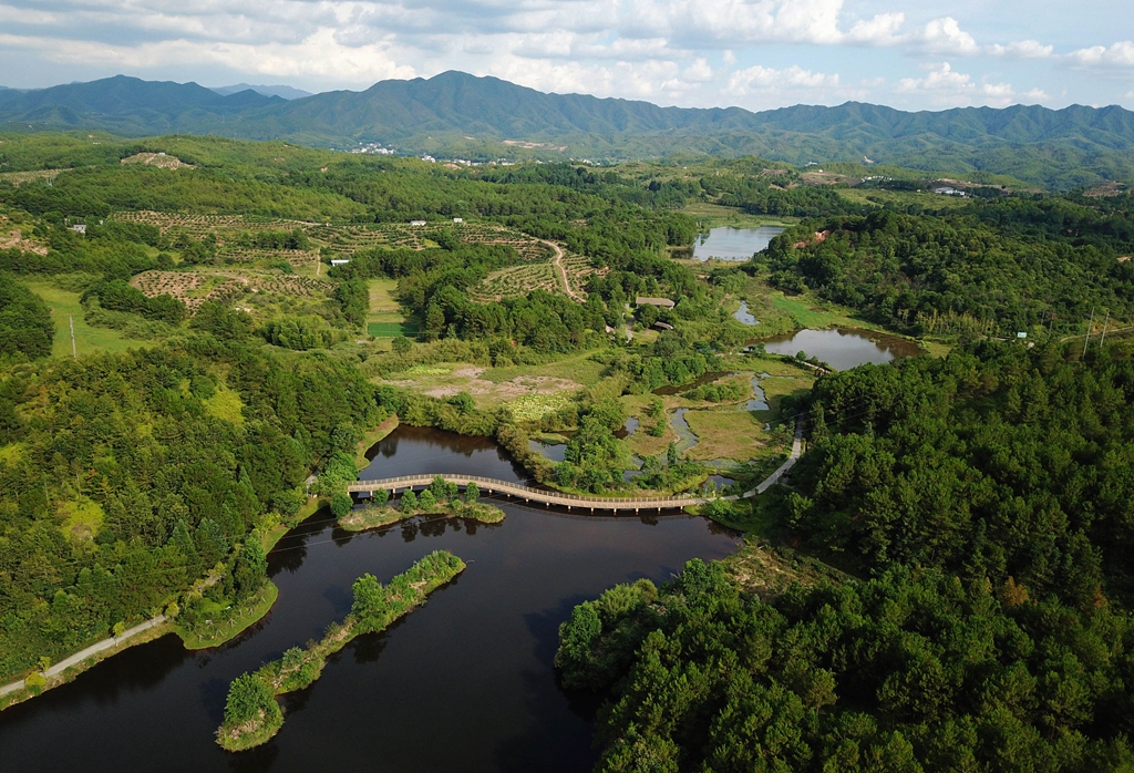 福建省龍巖市長汀縣的長汀汀江國家濕地公園景色（2020年7月28日攝，無人機照片）。新華社記者 魏培全 攝