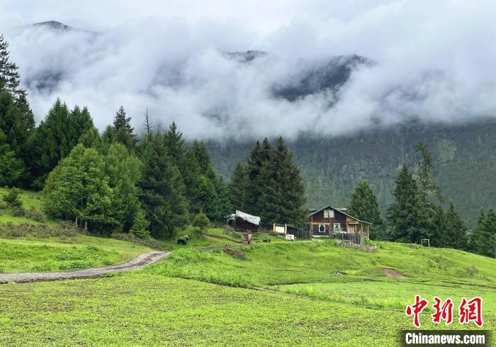 6月10日，魯朗小鎮(zhèn)高山牧場(chǎng)景區(qū)風(fēng)光?！∪轿木?攝