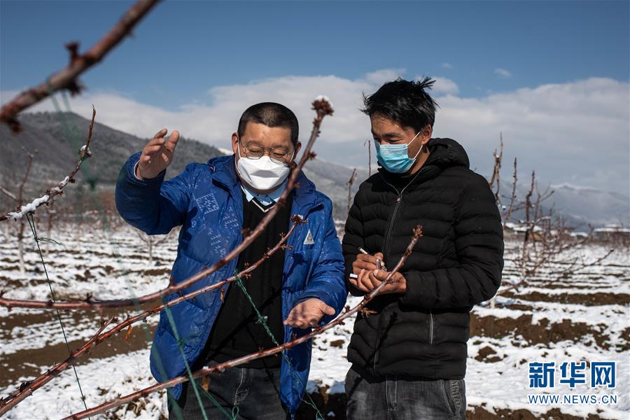 （決戰(zhàn)決勝脫貧攻堅·聚焦三區(qū)三州·圖文互動）（4）拓展新天地——云南迪慶藏區(qū)“新產(chǎn)業(yè)”掠影