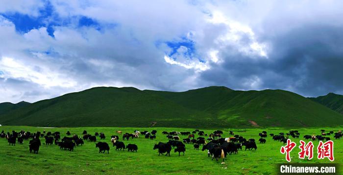 青海甘德縣成功創(chuàng)建國家級農(nóng)村產(chǎn)業(yè)融合發(fā)展示范園