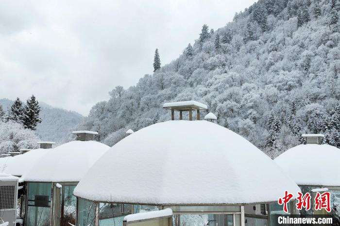 大熊貓國(guó)家公園王朗片區(qū)春雪如畫，宛若仙境?！×_春平 攝