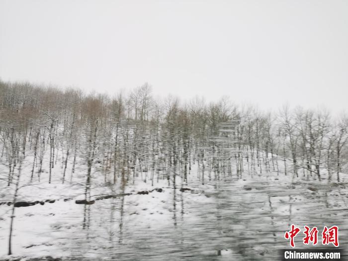 圖為青海青沙山區(qū)域被降雪覆蓋?！?zhí)砀?攝