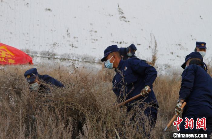 圖為200余名消防員在布達(dá)拉宮后山集合除草?！≮w朗 攝