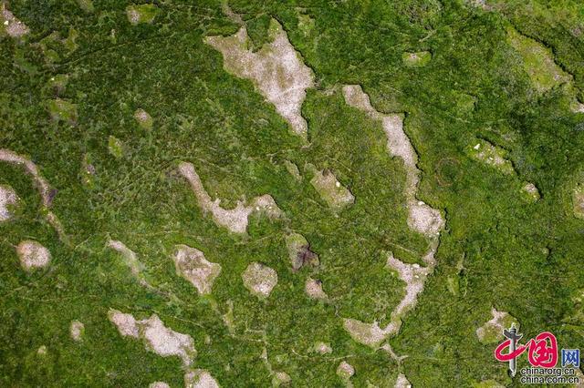 【重走天路看變遷】飛越高原美肺 海拔4700米的聶榮濕地公園