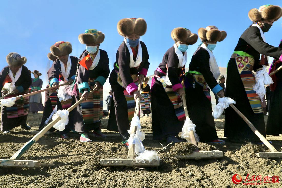 當地村民身著節(jié)日盛裝，舉行春耕儀式。人民網 次仁羅布攝