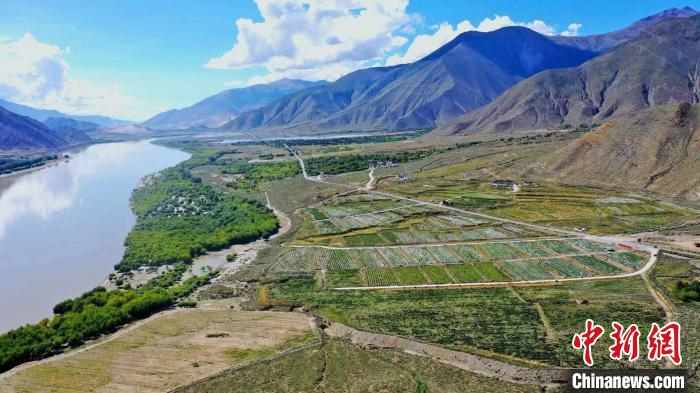 圖為桑日縣葡萄種植基地。　山南桑日縣委宣傳部提供