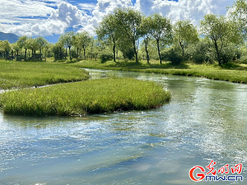 我們的家園丨【組圖】 綠水青山入畫，“金山銀山”筑起