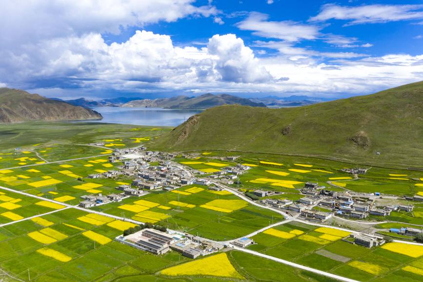 航拍道布龍村，依山傍水，阡陌縱橫。