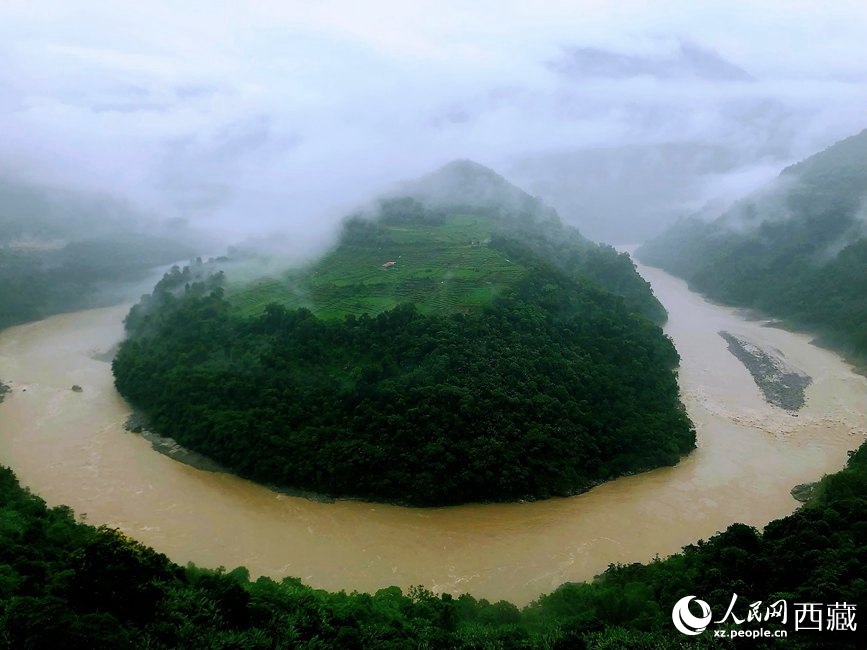 雅魯藏布江大峽谷蛇形拐彎處，山坡上種滿茶樹。